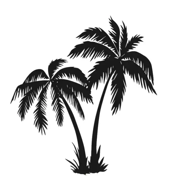 Wallsticker Med Flotte Palmer 58x62cm