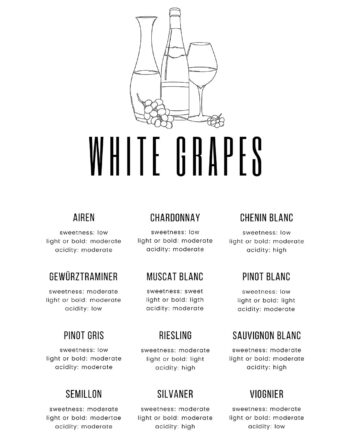 White Grapes Af Pluma Posters