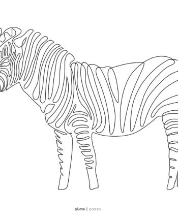 Zebra Af Pluma Posters