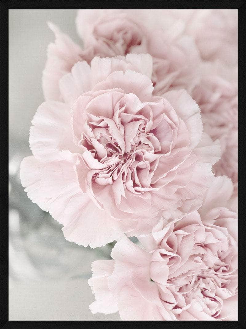 Pæon Blomster Plakat