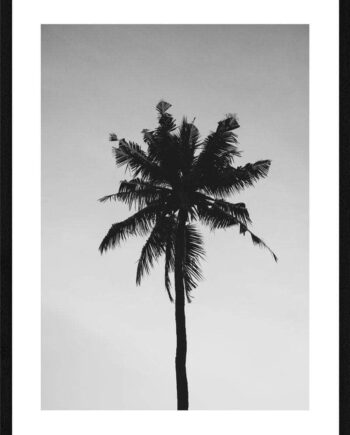 Palme Plakat