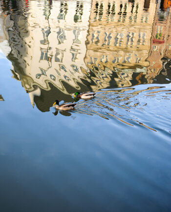 Reflection In Ghent Af Julie Aucoin