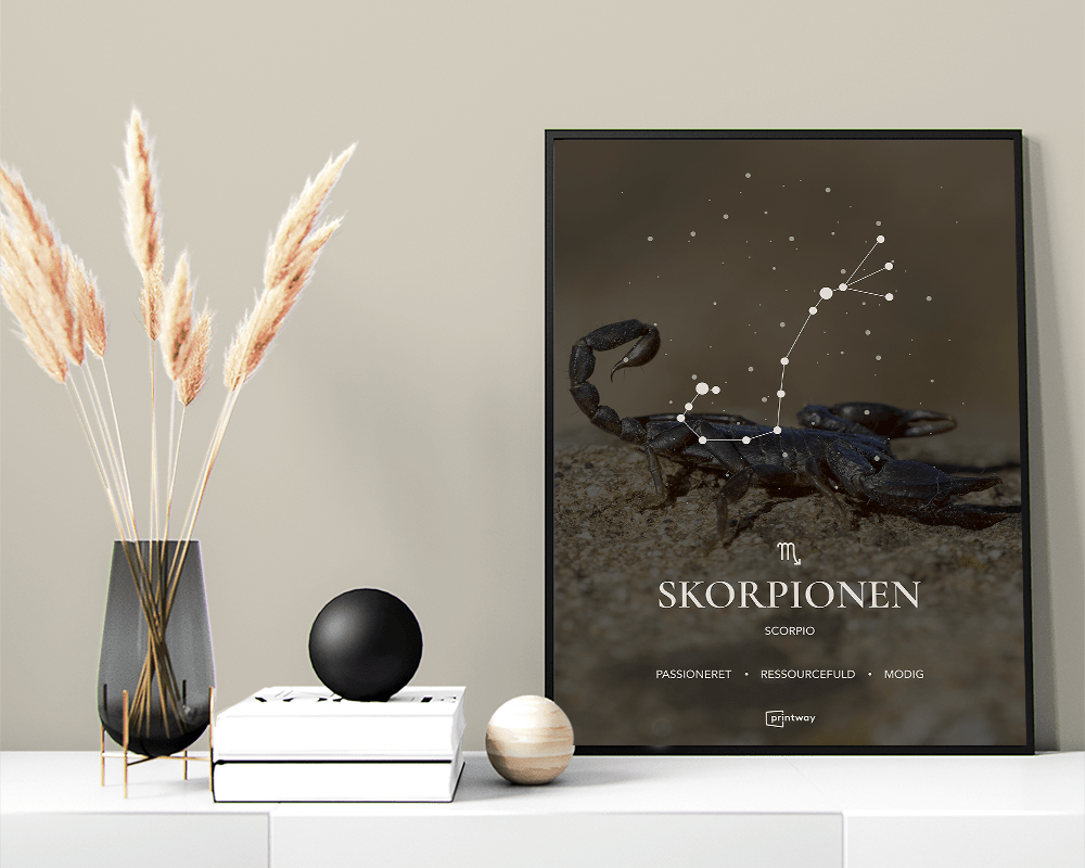 Skorpionen Stjernetegn Plakat Motiv 70 100 Cm  B1