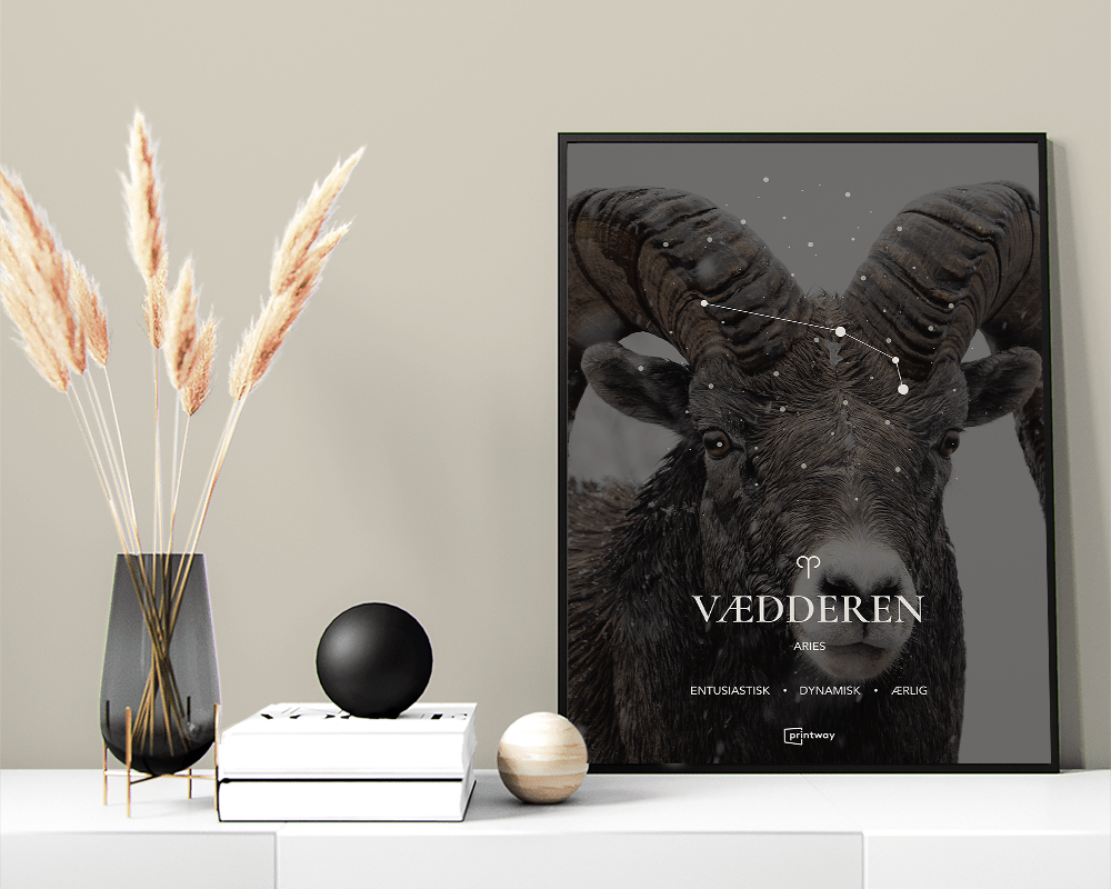 Vædderen Stjernetegn Plakat Motiv 50 70 Cm  B2