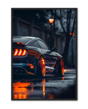 Bil Plakat 50