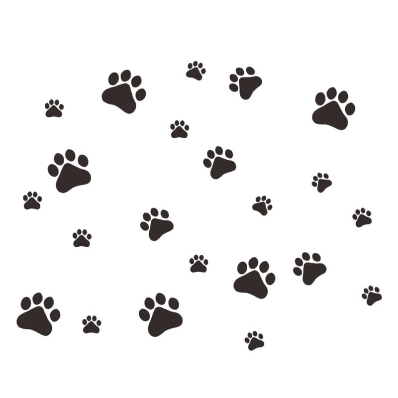 Hunde Wallsticker Med Søde Hundepoter  Få Hunde Poteaftryk På Væggen