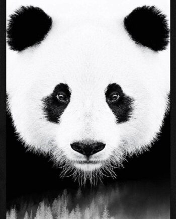Panda Plakat